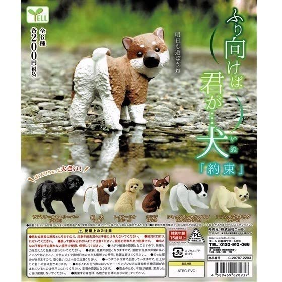 Amazon | ふり向けば君が…犬 ～約束～ 「チワワ(チョコ)」 ／ エール